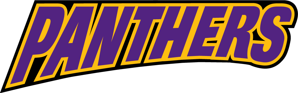 Northern Iowa Panthers 2002-2014 Wordmark Logo v4 t shirts iron on transfers